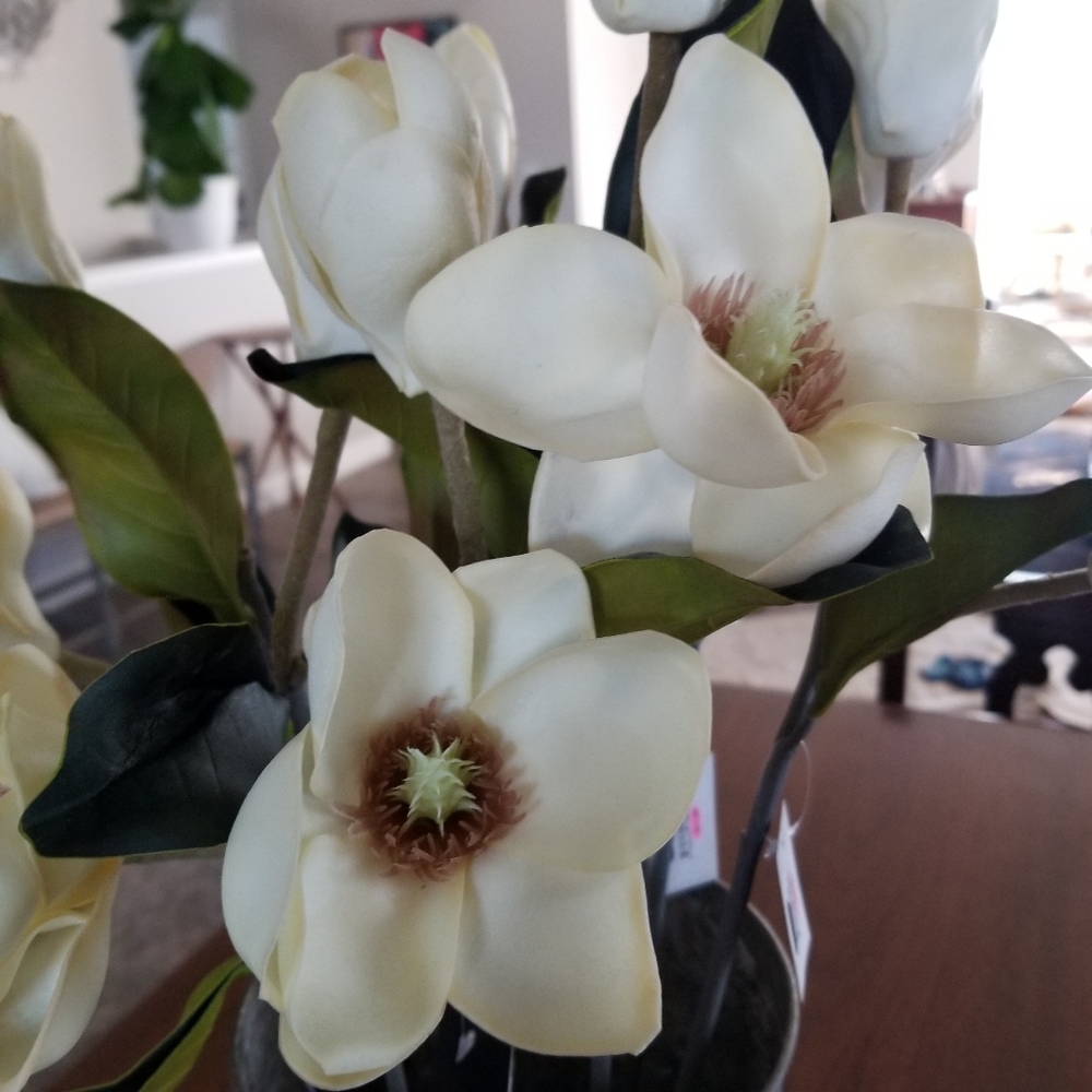 Magnolia Silk Faux Flower Stems
